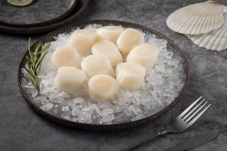 Frozen Sea Scallops